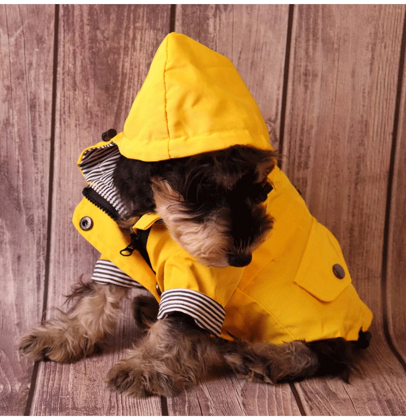 Capa de Chuva Impermeável para Cães Mantendo o Animal de Estimação Aquecido e Seco