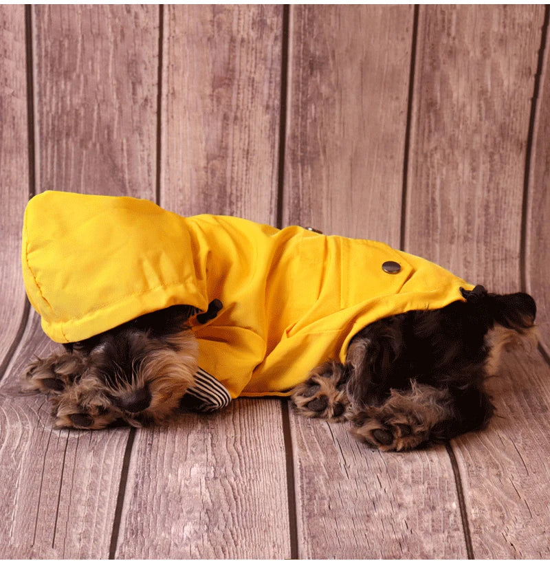 Capa de Chuva Impermeável para Cães Mantendo o Animal de Estimação Aquecido e Seco