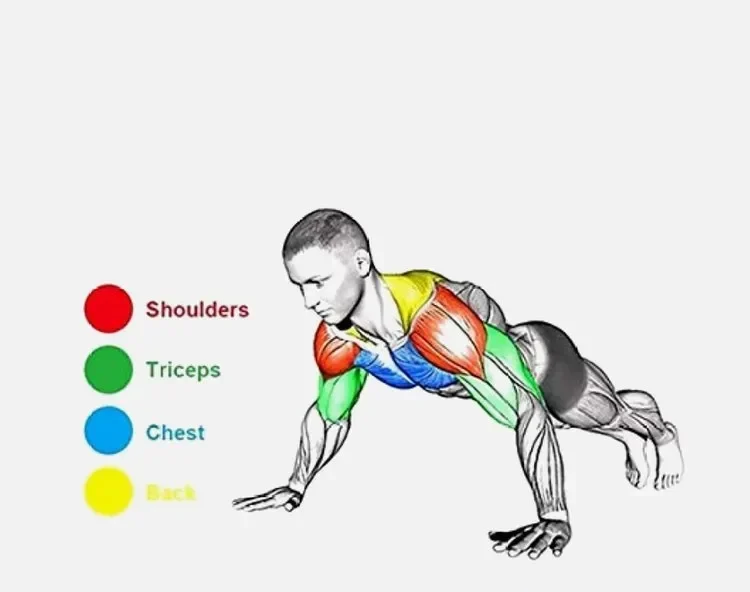 Estação de exercicio portátil multifuncional